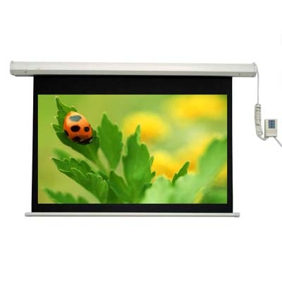 Màn chiếu điều khiển Dalite 70 x70 100 inch 1m78 x 1m78