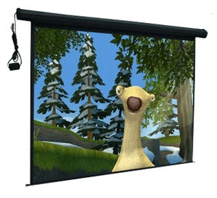 Màn chiếu điều khiển Dalite 80 x 80 (113” ) 2m03 x 2m03